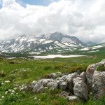 Caucasian State Biosphere Reserve